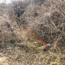 성산1리마을회관 이미지