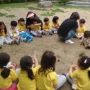 금병초등학교 병설유치원 이미지