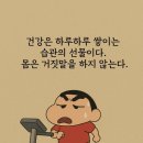 오늘도클로버