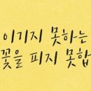 숨 합기도 이미지