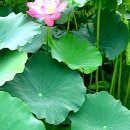 봉성공인중개사사무소 이미지