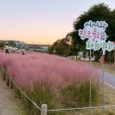 대덕구 산호빛 공원 이미지