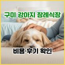 충북장묘 | 구미 강아지 장례식장 비용·후기? 구미 애견 화장 필수 정보 안내서