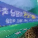 새미스포렉스 이미지