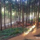 사천케이블카자연휴양림(사천) 이미지