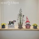 아띠랑스 헤어 이미지