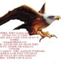 라이딩 필수 간지 청자켓2종 ( Levi's / Lee ) , Tough 자켓, 가죽자켓, Levi's 커스텀 (논노 잡지에 실렸던 한정품) 바지... 착한가격 !!! 이미지