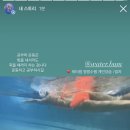 용호레포츠 이미지