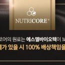 참다한홍삼광주 - 북구 대천로 149 | 참다한홍삼광주
