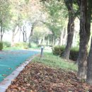 오학 걷고싶은거리 이미지