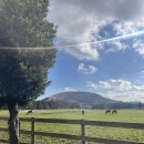 유빈목장 이미지