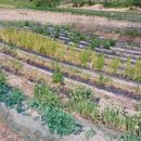 준형농장 이미지