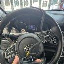 하남펫택시 이미지