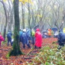 삼형제농장2 이미지