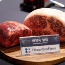 트렌드테크 주식회사 이미지