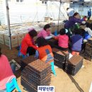 명품꽃마을 이미지