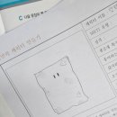 꽃자락 | 자락자락 가을 일상