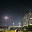 오예! 주말이다!