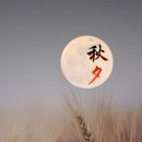 드림 행정사 사무소 이미지