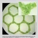 동아산소 이미지