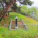 유양식선생묘 이미지