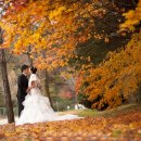 춘천베어스관광호텔 이미지