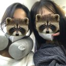 코타키나발루 여행 | 애증인 줄 알았는데 애정이었던 ..~ ♡