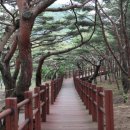 서포리 관광지 오토캠핑장 이미지