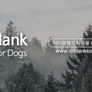 카페 댕하루 이미지