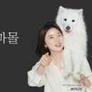 펫프랜즈 이미지