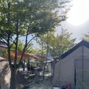 [무주] 양지뜰캠핑장 B-4 내돈내산 비추천