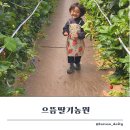 남일로(남후면) 이미지