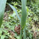 하우스못골 이미지