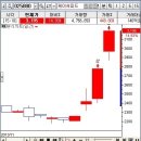 라이온트레이딩