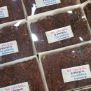 다산늘푸른약국 이미지