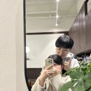 팔도통닭 이미지