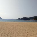 송정솔바람야영장 이미지