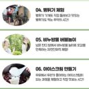 한국체대 정무태권도장 이미지