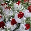 인터넷짱 이미지