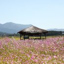 고인돌 박물관 이미지