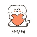 다산마리동물병원