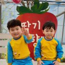 현민농장 이미지