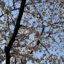 일광활어회 이미지