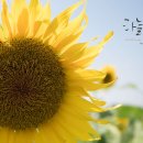 오천골프연습장 이미지