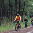 슬로트래블 이미지