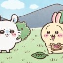 우사기