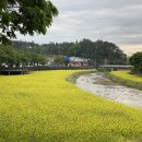 금산천 데크길 이미지