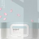 베이직홀릭