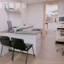 현대동물병원 이미지