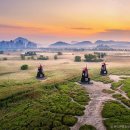 소래습지생태공원, 광주호 호수생태원, 부네치아 선셋 전망대 이미지